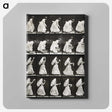 1-82_Eadweard-Muybridge_canvas