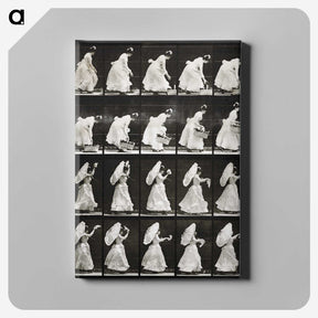 1-82_Eadweard-Muybridge_canvas