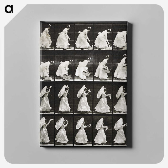 1-82_Eadweard-Muybridge_canvas