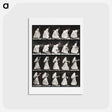 アートポストカード-Woman with Basket and Handkerchief
 - エドワード マイブリッジ Postcard.