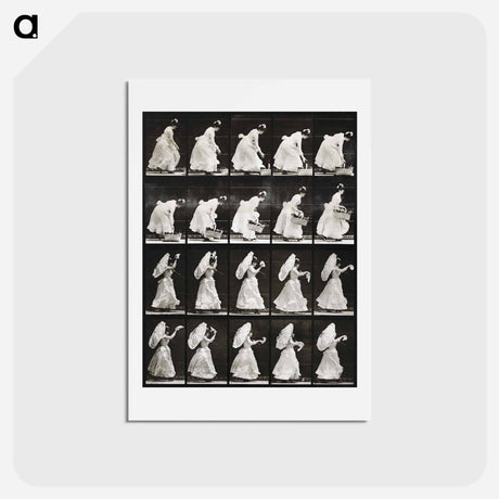アートポストカード-Woman with Basket and Handkerchief
 - エドワード マイブリッジ Postcard.