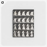1-82_Eadweard-Muybridge_memo