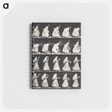 アートメモ帳-Woman with Basket and Handkerchief
 - エドワード マイブリッジ Memo.