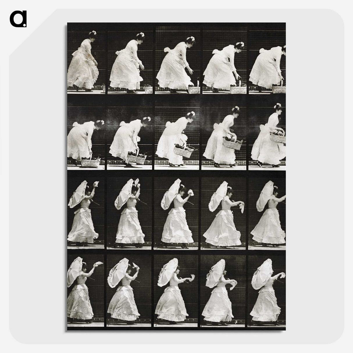 1-82_Eadweard-Muybridge_picture-crop