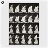 1-82_Eadweard-Muybridge_picture-crop