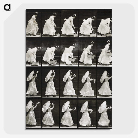 1-82_Eadweard-Muybridge_picture-crop