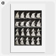 1-82_Eadweard-Muybridge_picture