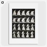 1-82_Eadweard-Muybridge_picture
