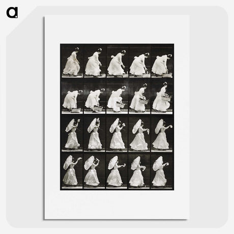 1-82_Eadweard-Muybridge_picture