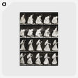 1-82_Eadweard-Muybridge_postcard