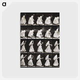 アートポストカード-Woman with Basket and Handkerchief
 - エドワード マイブリッジ Postcard.