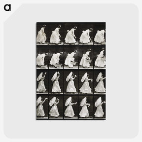1-82_Eadweard-Muybridge_postcard
