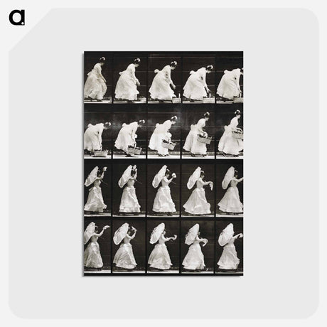 アートポストカード-Woman with Basket and Handkerchief
 - エドワード マイブリッジ Postcard.