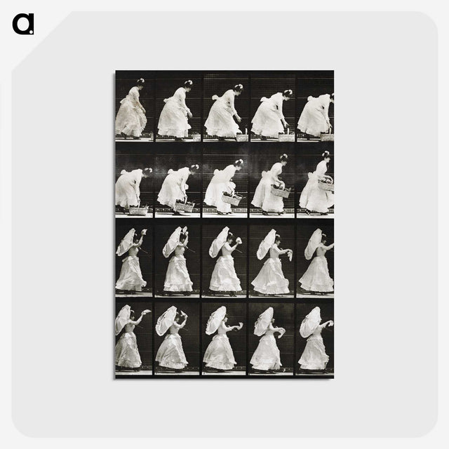1-82_Eadweard-Muybridge_postcard