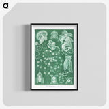 1-82_Ernst-Haeckel_blk-crop