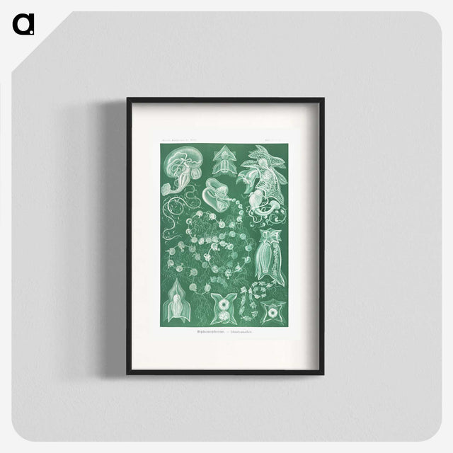 1-82_Ernst-Haeckel_blk