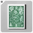 1-82_Ernst-Haeckel_canvas
