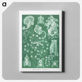 1-82_Ernst-Haeckel_canvas