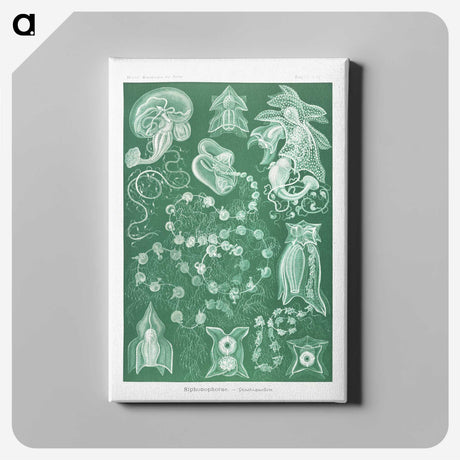 1-82_Ernst-Haeckel_canvas