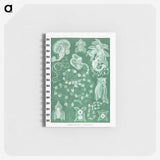 1-82_Ernst-Haeckel_memo