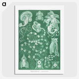 1-82_Ernst-Haeckel_picture-crop