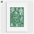 1-82_Ernst-Haeckel_picture