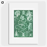 1-82_Ernst-Haeckel_picture