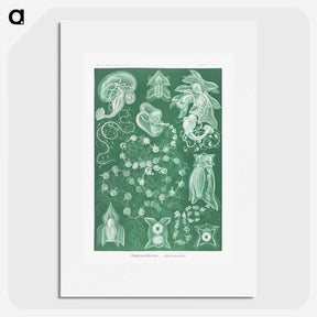 1-82_Ernst-Haeckel_picture