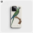 1-82_Francois-Levaillant_phone