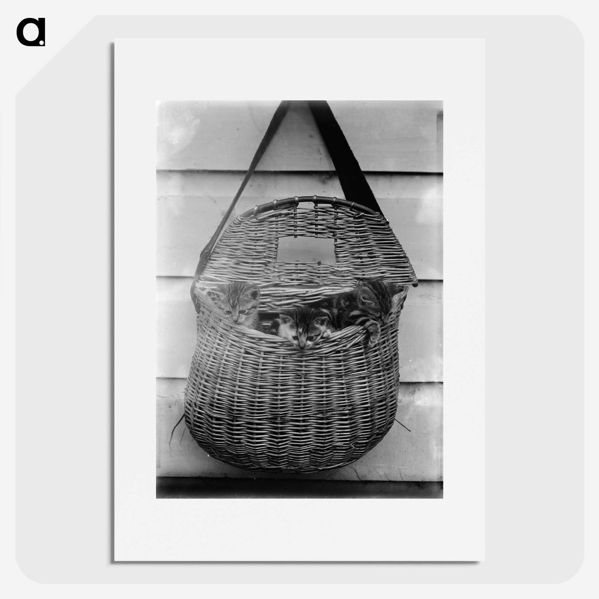 1-82_Frederick-Charles-Brockett_picture