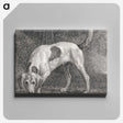 1-82_George-Stubbs_canvas