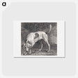 アートポストカード-A Foxhound on the Scent
 - ジョージ スタッブス Postcard.
