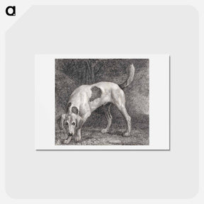 アートポストカード-A Foxhound on the Scent
 - ジョージ スタッブス Postcard.