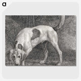 1-82_George-Stubbs_picture-crop