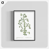 1-82_Histoire-des-Plantes-Grasses_blk-crop