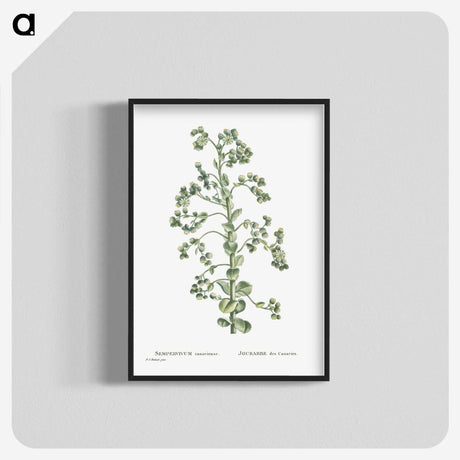 1-82_Histoire-des-Plantes-Grasses_blk-crop