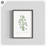 1-82_Histoire-des-Plantes-Grasses_blk