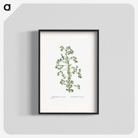 1-82_Histoire-des-Plantes-Grasses_blk