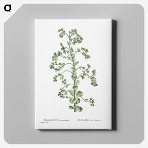 1-82_Histoire-des-Plantes-Grasses_canvas