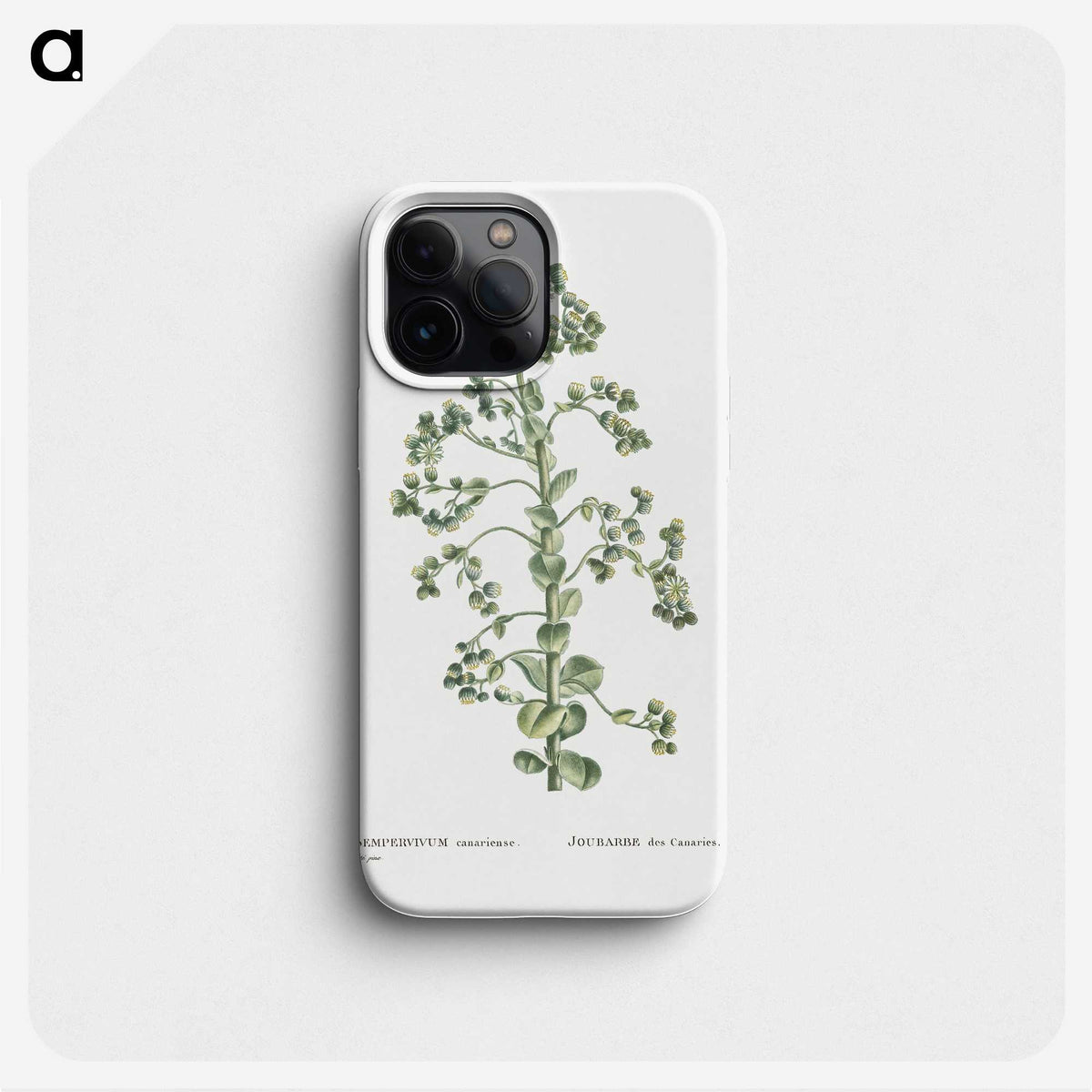 1-82_Histoire-des-Plantes-Grasses_phone