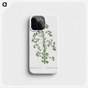 1-82_Histoire-des-Plantes-Grasses_phone