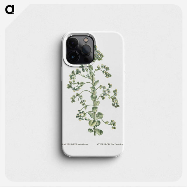 1-82_Histoire-des-Plantes-Grasses_phone