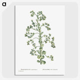 1-82_Histoire-des-Plantes-Grasses_picture-crop