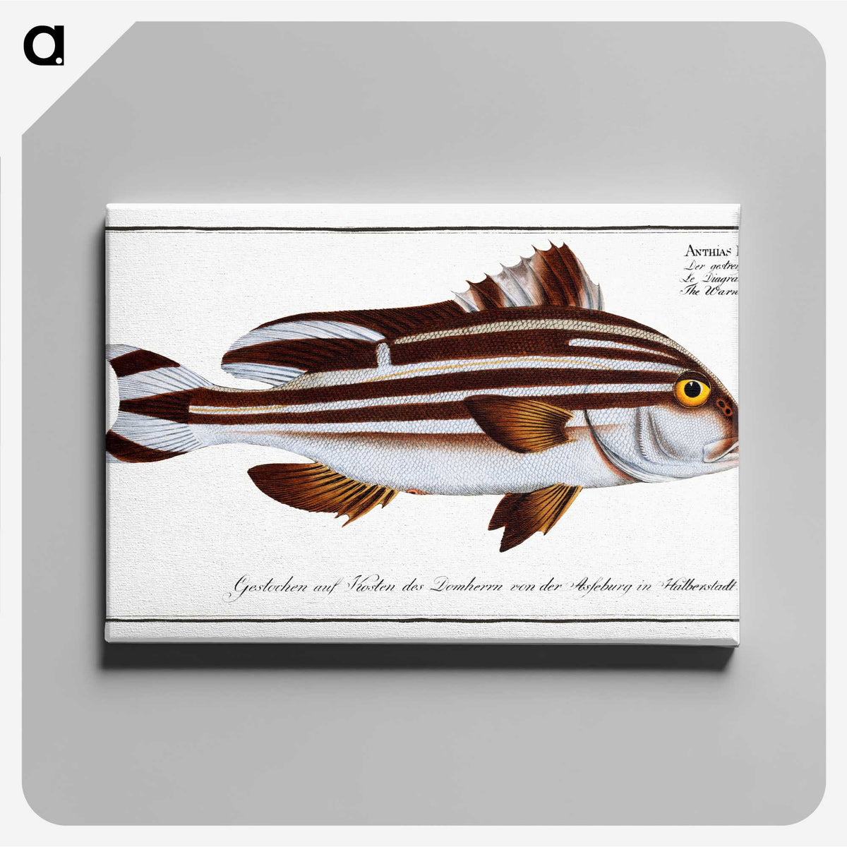 1-82_Ichtyologie-ou-Histoire-naturelle_canvas