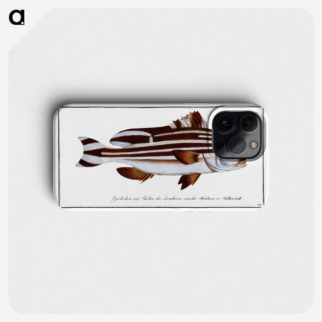 1-82_Ichtyologie-ou-Histoire-naturelle_phone