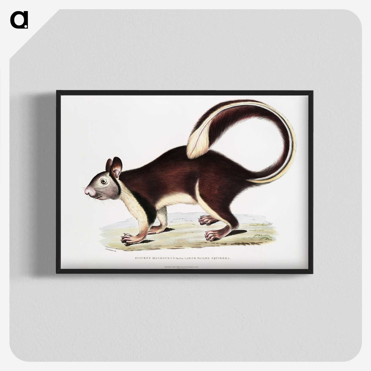 1-82_Indian-Zoology_blk-crop