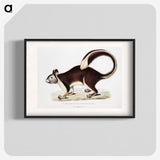 1-82_Indian-Zoology_blk