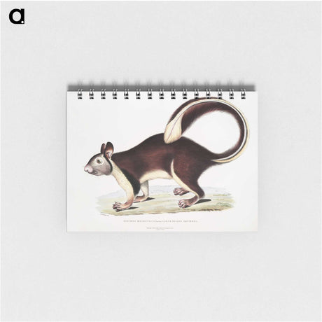 1-82_Indian-Zoology_memo