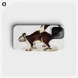 1-82_Indian-Zoology_phone