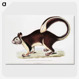 1-82_Indian-Zoology_picture-crop